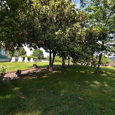 El Paraiso De Jane Villa *